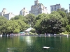 im Central Park